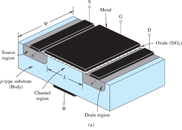 image-20230405213728134