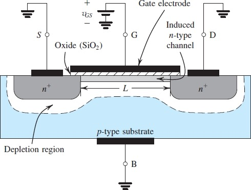 image-20230405213910083