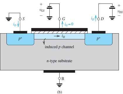 image-20230405234336435